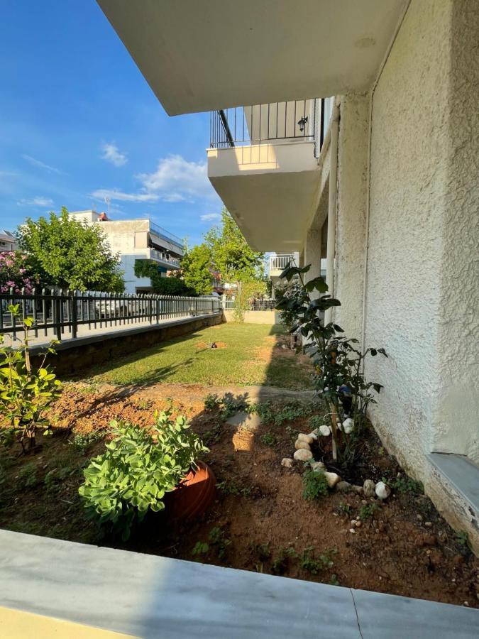 פראליה דיוניסיו Villa California מראה חיצוני תמונה